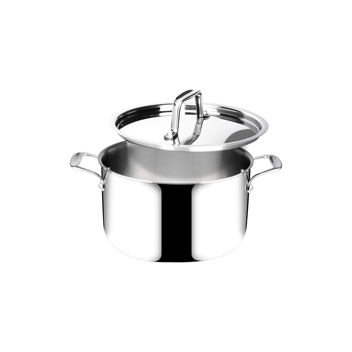 DUXTOP WHOLE 6.5QT CLAD TRI-PLY STAINLESS STEEL STOCKPOT WITH LID